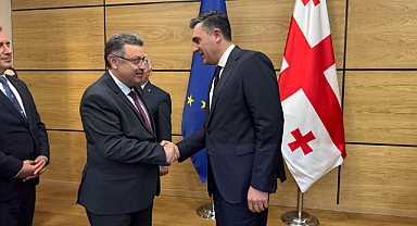 TRABZON HEYETİNDEN GÜRCİSTAN DIŞİŞLERİ BAKANINA ZİYARET 