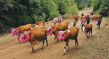 YAYLACILAR DÖNÜŞ YOLUNDA