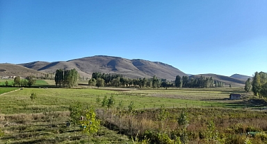 1 KİLO BUĞDAY 1 BARDAK ÇAY ETMİYOR!