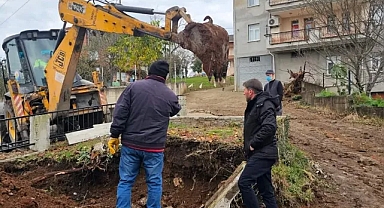 ARAKLI'DA YOL İÇİN BÜYÜK FEDAKARLIK... YOL GENİŞLESİN DİYE ANNESİNİN MEZARINI TAŞIDI...