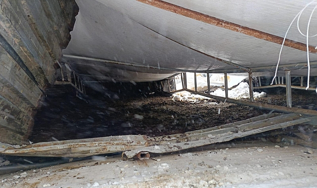 BAYBURT'TA 20 KÜÇÜKBAŞ HAYVAN TELEF OLDU