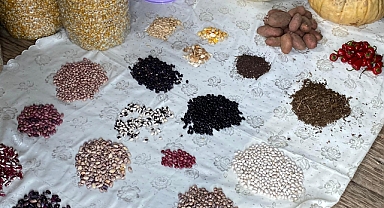 BÜYÜKŞEHİR ATA TOHUMLARINI GELECEĞE TAŞIYOR