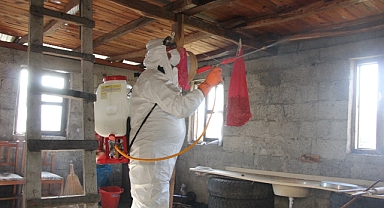 GİRESUN'DA KAHVERENGİ KOKARCA MÜCADELESİ TAM GAZ DEVAM EDİYOR