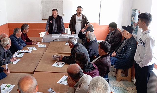 GİRESUN KAHVERENGİ KOKARCAYA SAVAŞ AÇTI