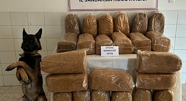 KAÇAK TÜTÜNE GEÇİT YOK