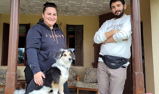 KÖPEKLERE EĞİTİMİ YAŞAM ALANLARINDA VEREREK DAHA BAŞARILI SONUÇLARA ULAŞIYOR