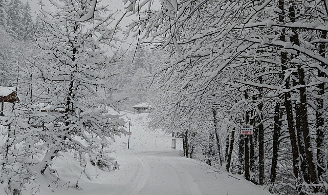 ŞAVŞAT BEYAZ GELİNLİĞİ GİYDİ