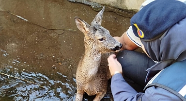 YARALI KARACAYA ŞEFKAT ELİ