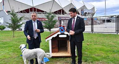 'ZİBİDİ' ARTIK TRABZONSPOR'DA