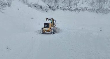 ARTVİN'DE ULAŞMA KAR ENGELİ: 266 KÖY YOLU KAPALI
