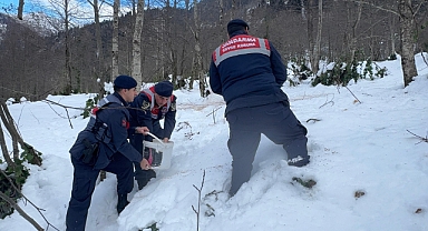 HAYDİ EKİPLERİNDEN SAHİPSİZ CANLARA ŞEFKAT ELİ