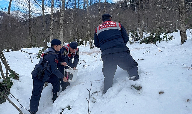 HAYDİ EKİPLERİNDEN SAHİPSİZ CANLARA ŞEFKAT ELİ