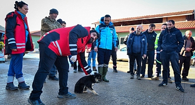 HAYVAN DOSTU TRABZON'DA ÖRNEK EĞİTİM PROGRAMI