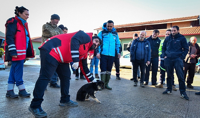 HAYVAN DOSTU TRABZON'DA ÖRNEK EĞİTİM PROGRAMI