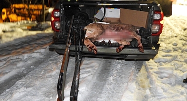 YABAN KEÇİSİ AVLAYAN 2 KİŞİYE 660 BİN TL CEZA KESİLDİ