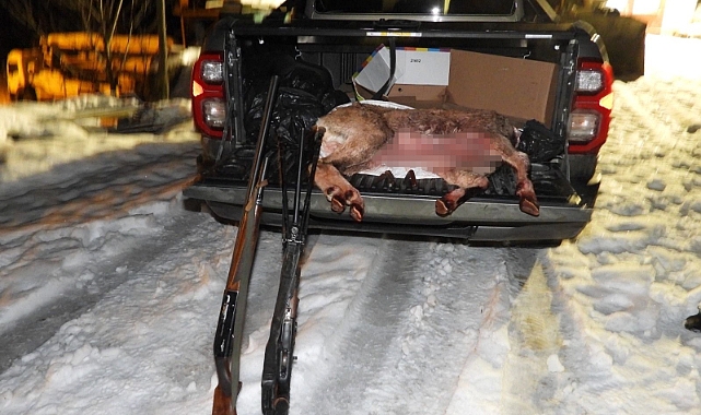 YABAN KEÇİSİ AVLAYAN 2 KİŞİYE 660 BİN TL CEZA KESİLDİ