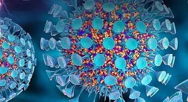 YENİ TEHLİKE DÖRTLÜ VİRÜS!