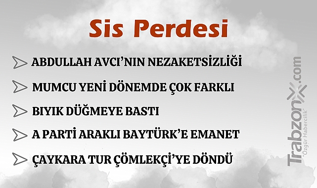 29.01.2025 SİS PERDESİ