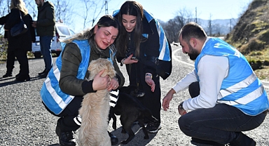 ORTAHİSAR BELEDİYESİNDEN HAYVANSEVERLERE MAMA DESTEĞİ