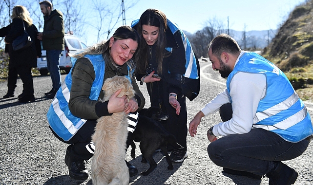 ORTAHİSAR BELEDİYESİNDEN HAYVANSEVERLERE MAMA DESTEĞİ
