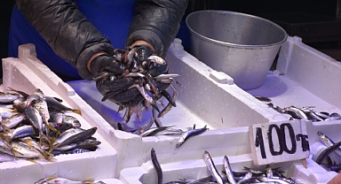 TRABZON'DA HAMSİ BEREKETİ: KİLOSU 100 TL