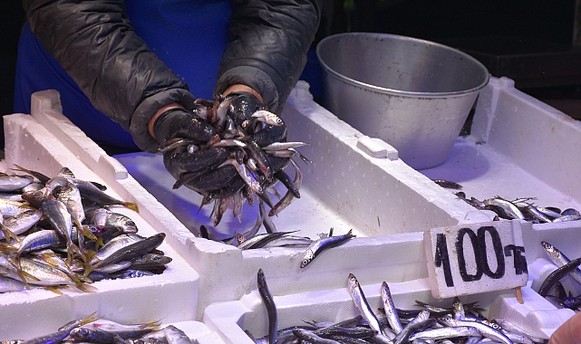 TRABZON'DA HAMSİ BEREKETİ: KİLOSU 100 TL