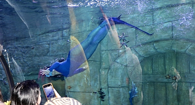 TÜNEL AKVARYUMDA DENİZ KIZI GÖSTERİSİNE BÜYÜK İLGİ