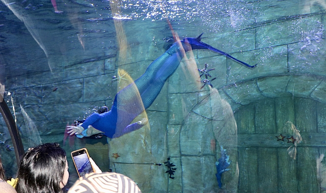 TÜNEL AKVARYUMDA DENİZ KIZI GÖSTERİSİNE BÜYÜK İLGİ