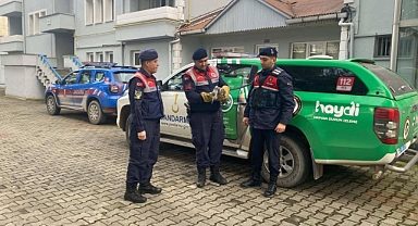 YARALI BALIKÇIL KUŞU KORUMA ALTINA ALINDI