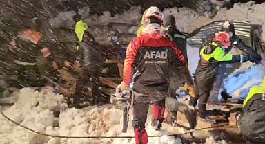 ARTVİN'DE ACI OLAY... 50 KOYUN TELEF OLDU