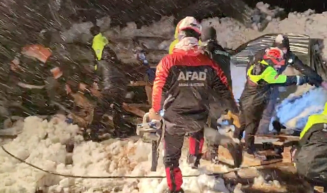 ARTVİN'DE ACI OLAY... 50 KOYUN TELEF OLDU