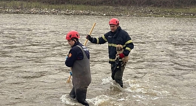DEREYE DÜŞEN SAHİPSİZ CAN İÇİN SEFERBER OLDULAR