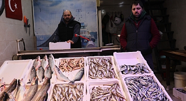 HAMSİ VE İSTAVRİTİN KİLOSU 150 TL