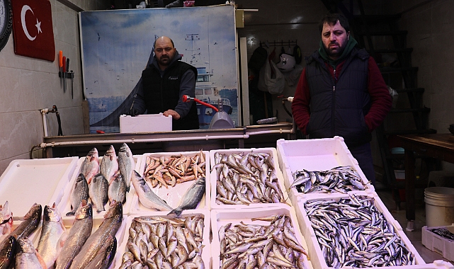 HAMSİ VE İSTAVRİTİN KİLOSU 150 TL