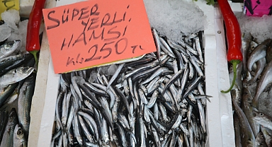 HAMSİNİN FİYATI CEP YAKIYOR: KİLOSU 250 TL!