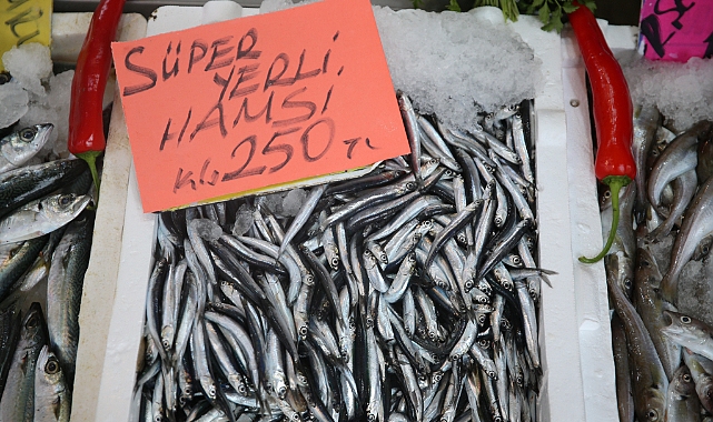 HAMSİNİN FİYATI CEP YAKIYOR: KİLOSU 250 TL!