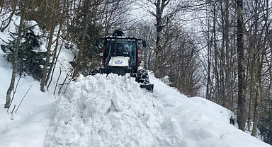 TRABZON'DA TÜM YOLLAR ULAŞIMA AÇILDI