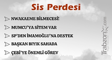 21.03.2025 SİS PERDESİ 