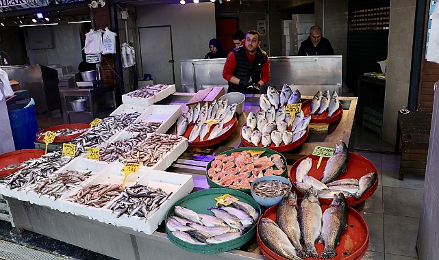 GEL VATANDAŞ GEL... İSTAVRİT-MEZGİT 100 TL