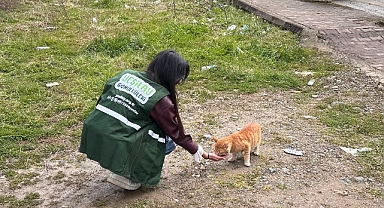 SAHİPSİZ CANLARI ELLERİYLE BESLEDİLER... HELAL OLSUN SİZE