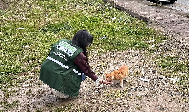 SAHİPSİZ CANLARI ELLERİYLE BESLEDİLER... HELAL OLSUN SİZE