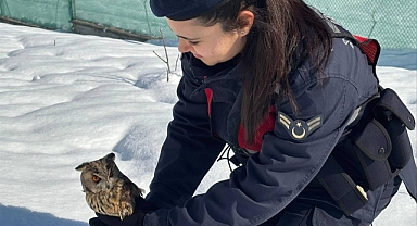 YARALI BAYKUŞA ŞEFKAT ELİ 