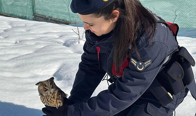 YARALI BAYKUŞA ŞEFKAT ELİ