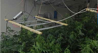 YOMRA'DA ZEHİRE GEÇİT YOK