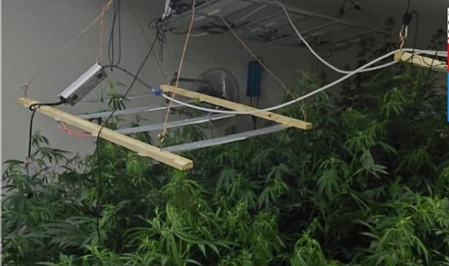 YOMRA'DA ZEHİRE GEÇİT YOK