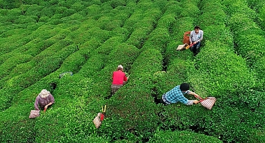 BAŞKAN ARSLAN: MÜLAKAT KABUL EDİLEMEZ, KURA İLE İŞÇİLER ALINMALI
