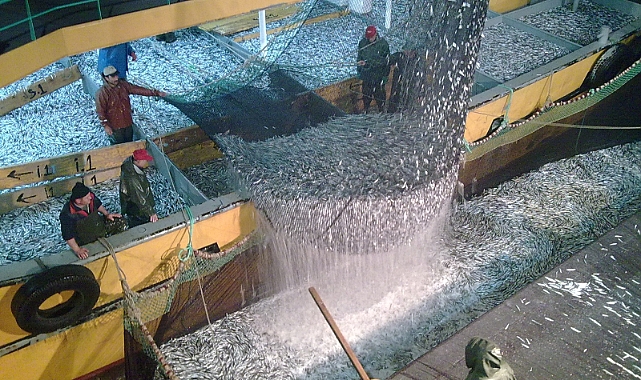 DENİZLERDE AVLANMA YASAĞI BAŞLADI