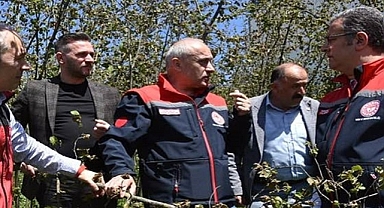 FINDIK ÜRETİCİSİNE GEÇMİŞ OLSUN