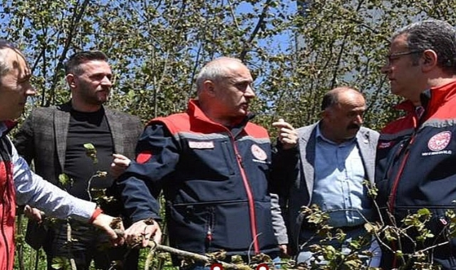 FINDIK ÜRETİCİSİNE GEÇMİŞ OLSUN