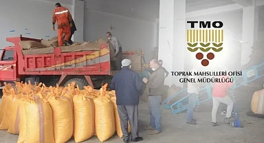 FINDIKTA FLAŞ GELİŞME... TMO SATIŞI DURDURDU! 